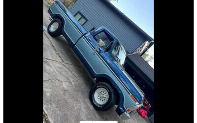 Ford F-150  1979 à vendre