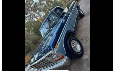 Ford-F-150-1979-9