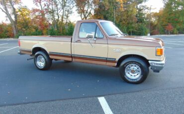 Ford-F-150-1989-3