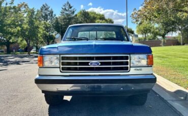 Ford-F-150-1990-4