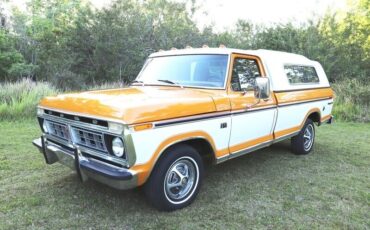 Ford F-150 Pickup 1976