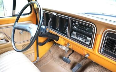 Ford-F-150-Pickup-1976-18