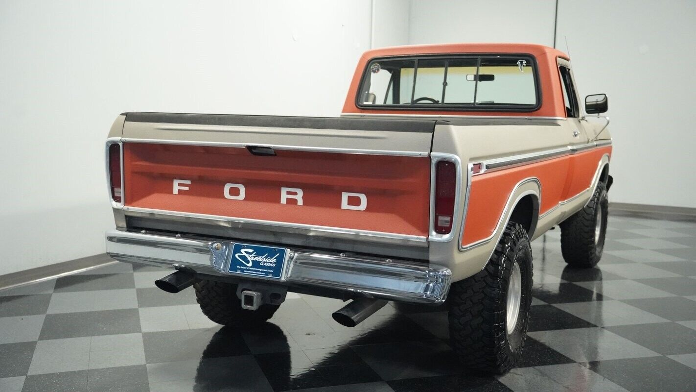 Ford-F-150-Pickup-1978-10