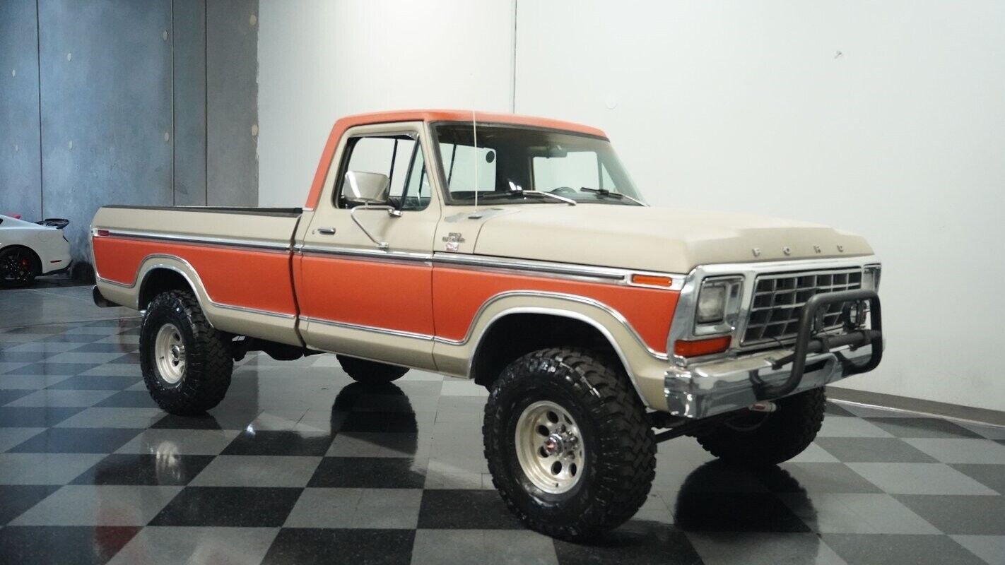 Ford-F-150-Pickup-1978-13