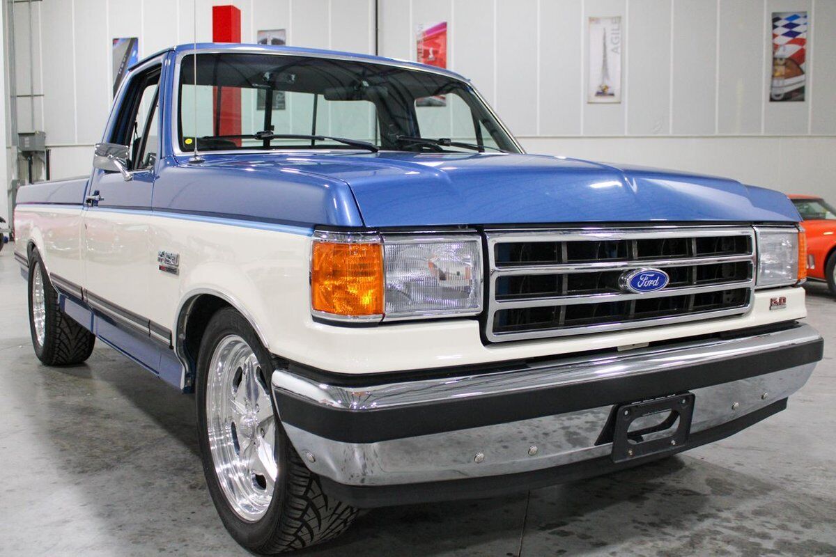 Ford-F-150-Pickup-1990-10