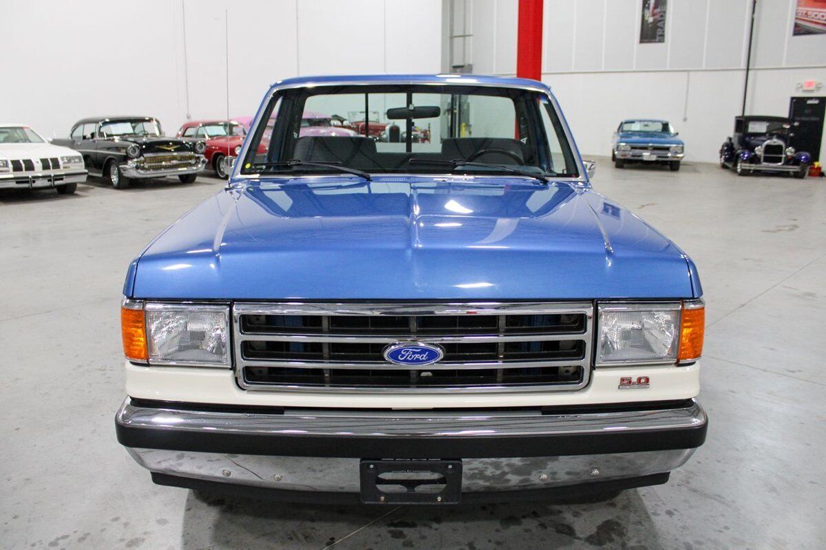 Ford-F-150-Pickup-1990-11