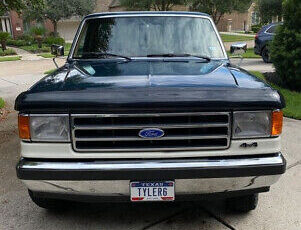 Ford-F-150-Pickup-1991-1