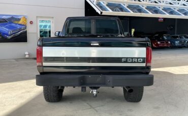 Ford-F-150-Pickup-1993-9