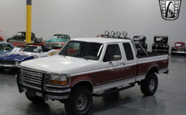 Ford-F-150-Pickup-1994-5