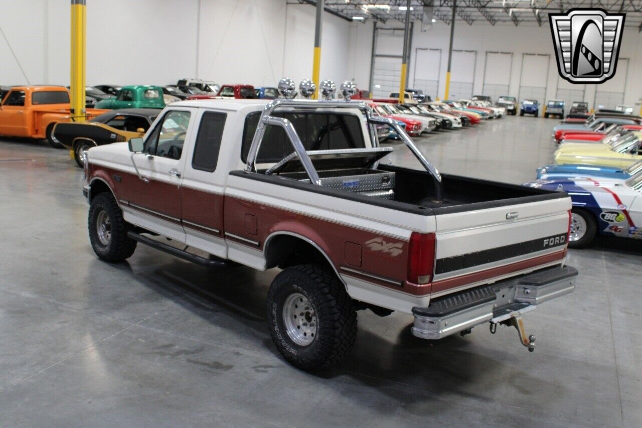 Ford-F-150-Pickup-1994-9