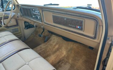 Ford-F-250-1976-7