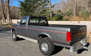 Ford-F150-1991-1