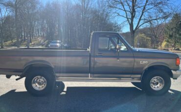 Ford-F150-1991-3