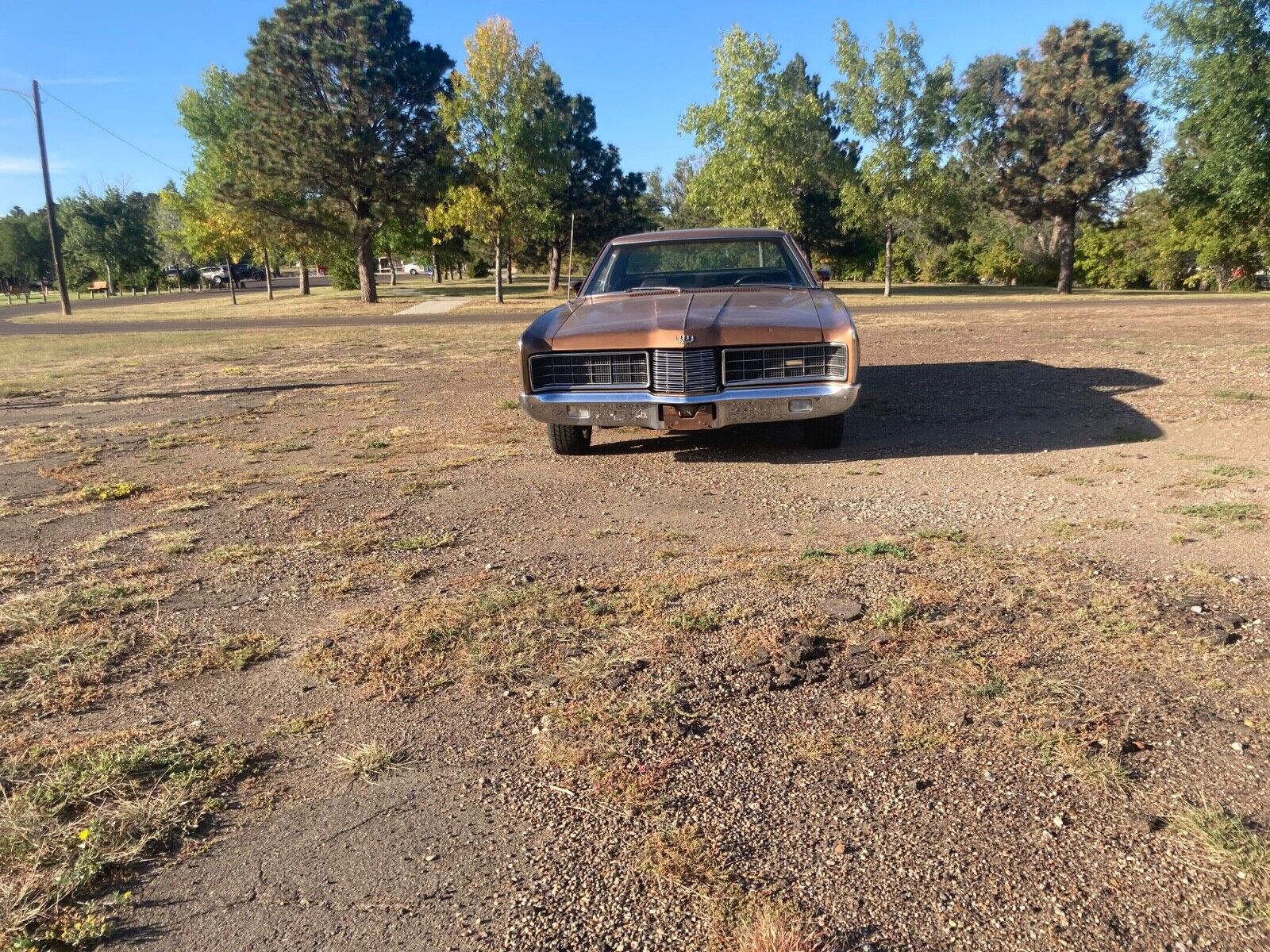 Ford-LTD-1970-5