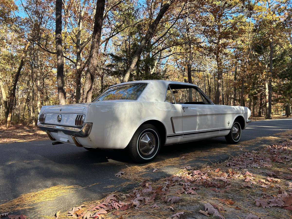 Ford-Mustang-1965-2