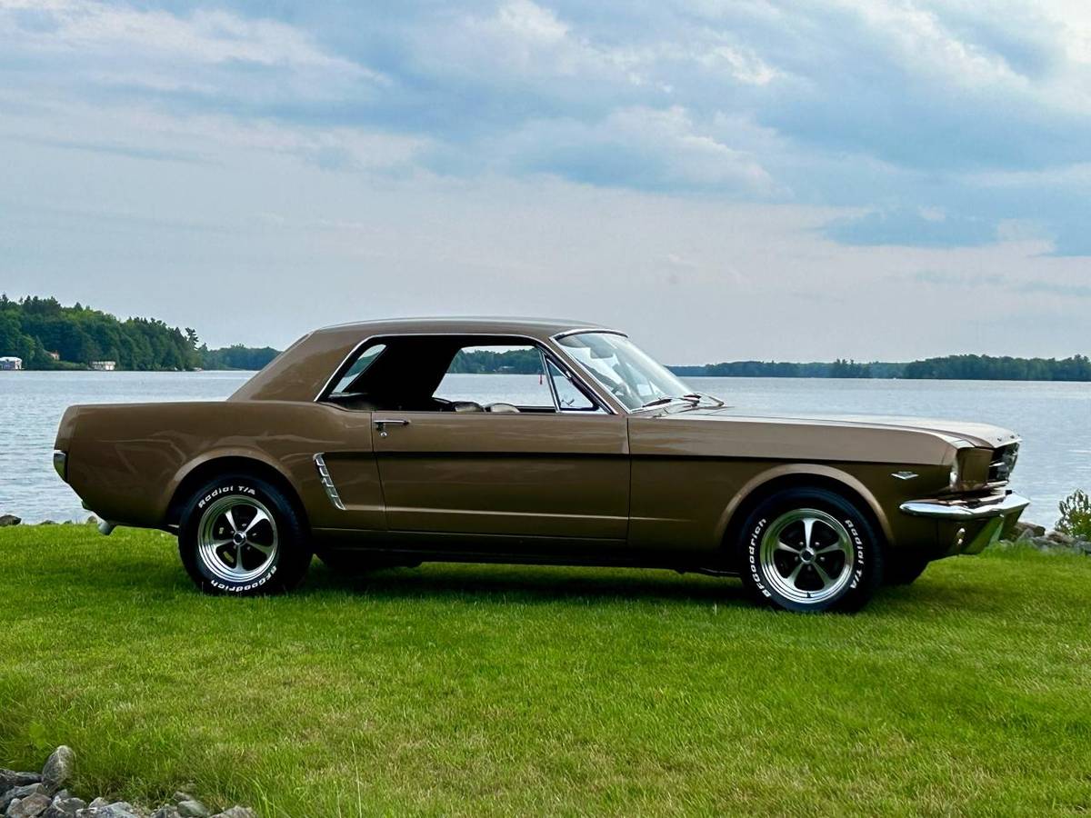 Ford-Mustang-1965-2