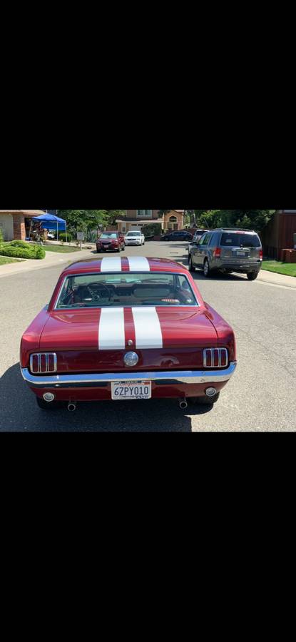 Ford-Mustang-1966-1