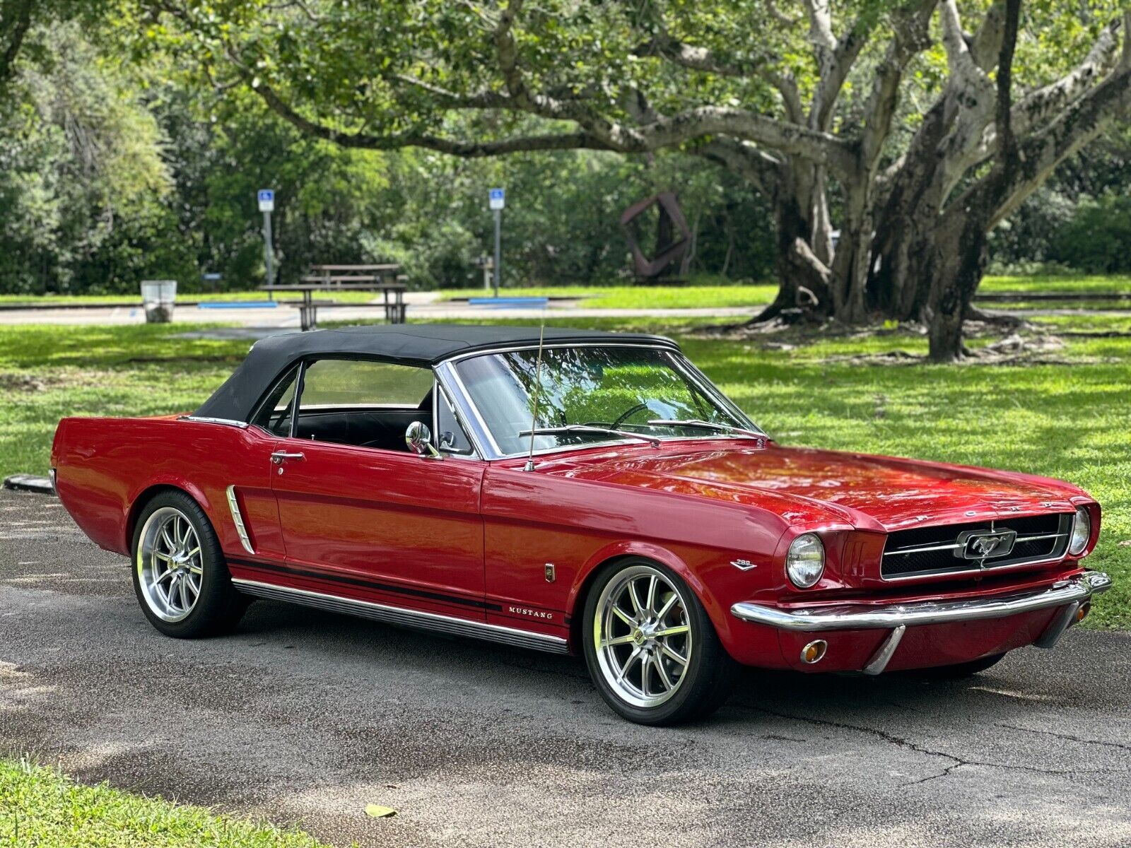 Ford-Mustang-Cabriolet-1965-1