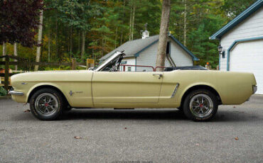 Ford-Mustang-Cabriolet-1965-2