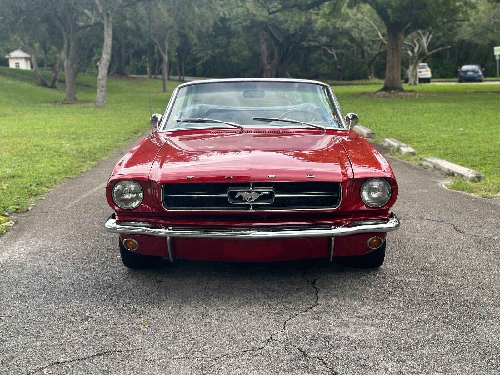 Ford-Mustang-Cabriolet-1965-2