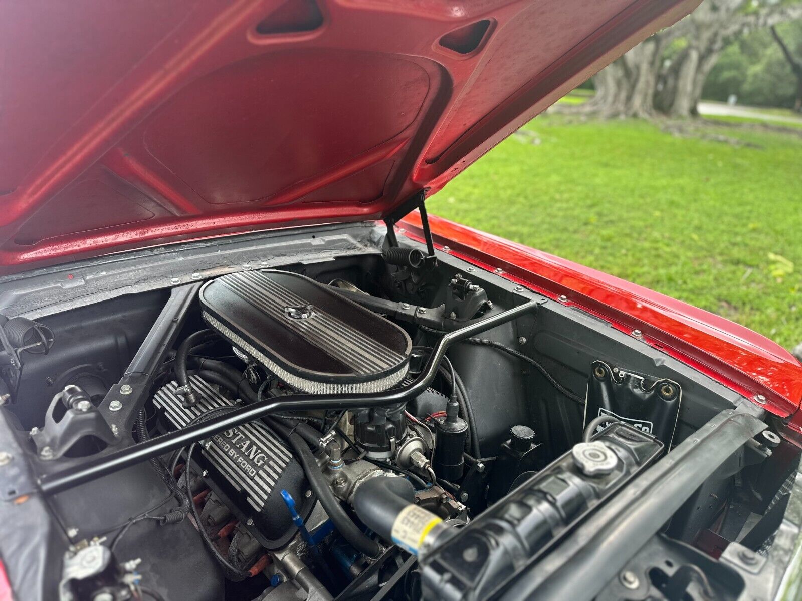 Ford-Mustang-Cabriolet-1965-28