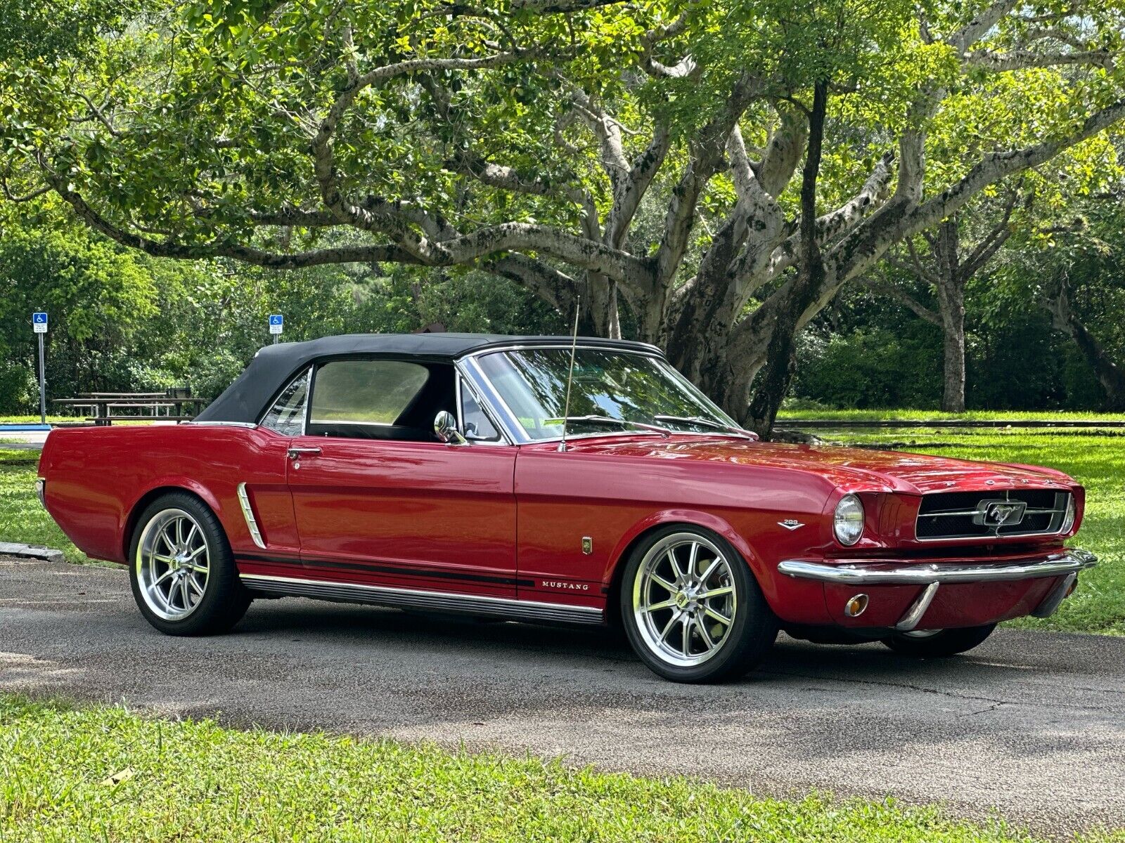 Ford-Mustang-Cabriolet-1965-3