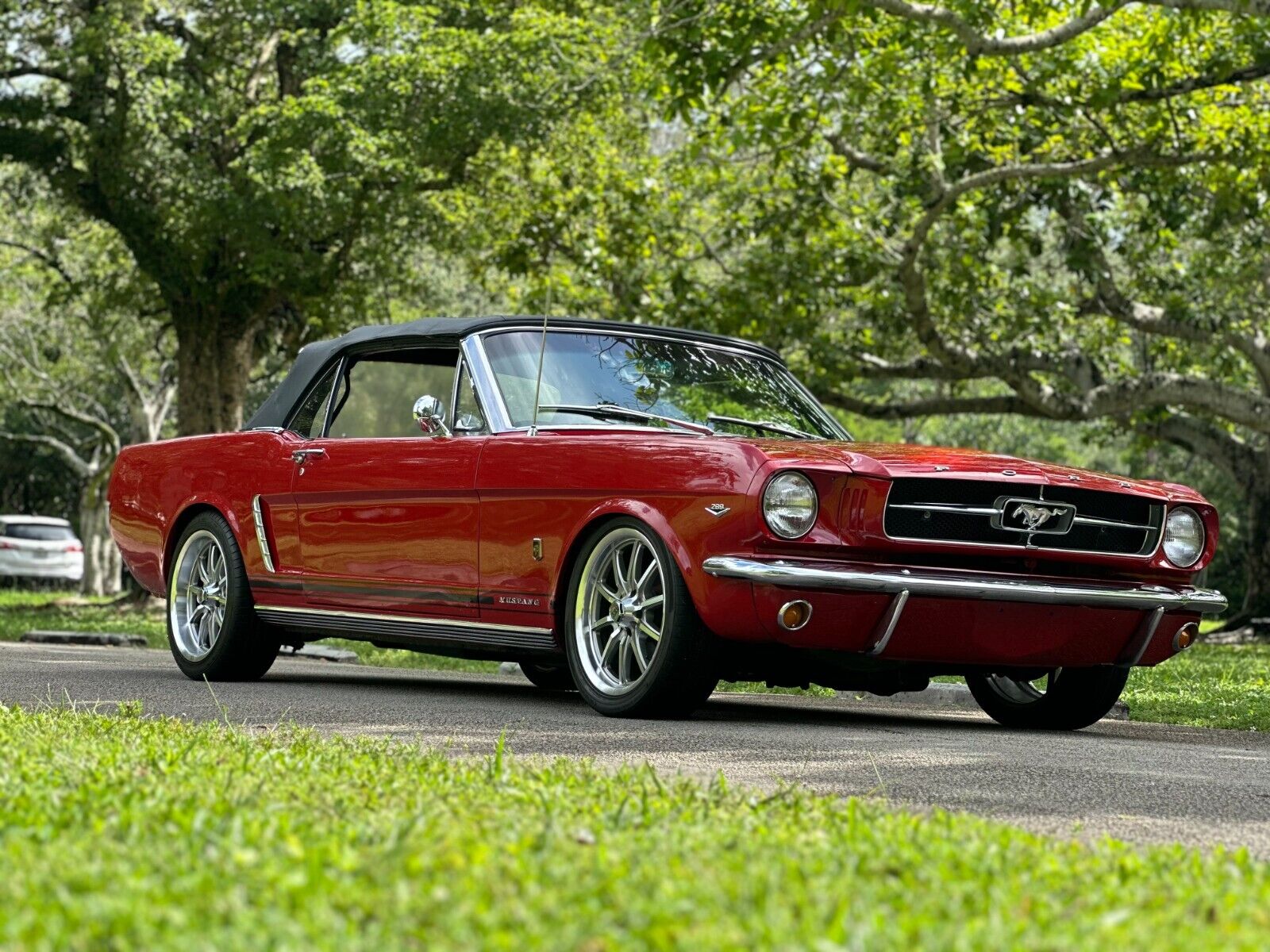 Ford-Mustang-Cabriolet-1965-4