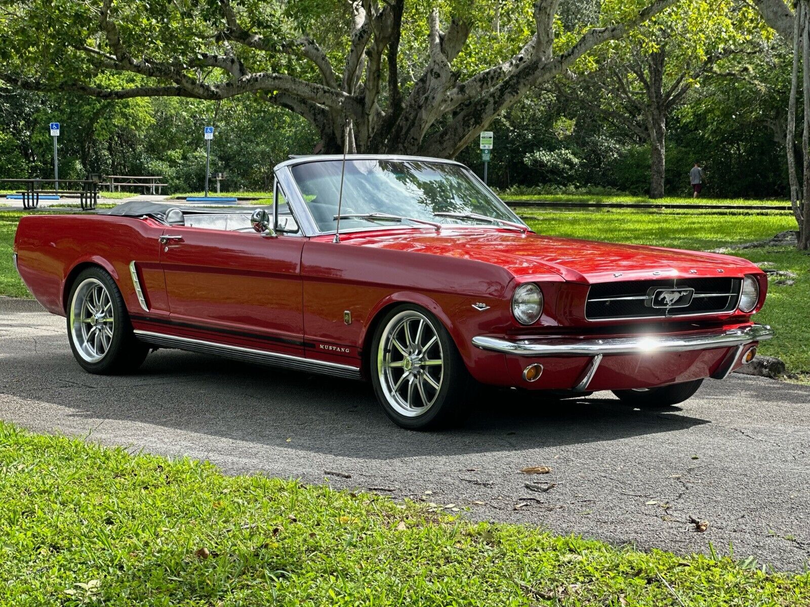 Ford Mustang Cabriolet 1965