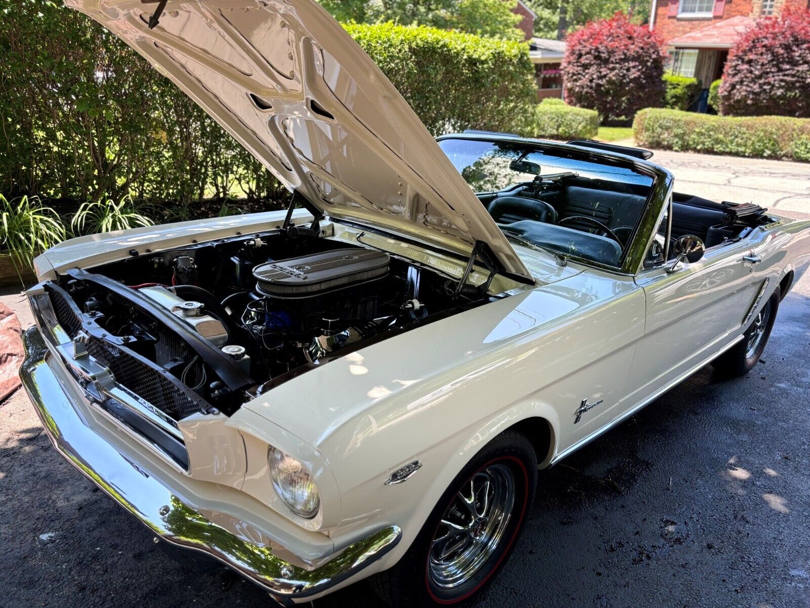 Ford Mustang Cabriolet 1965