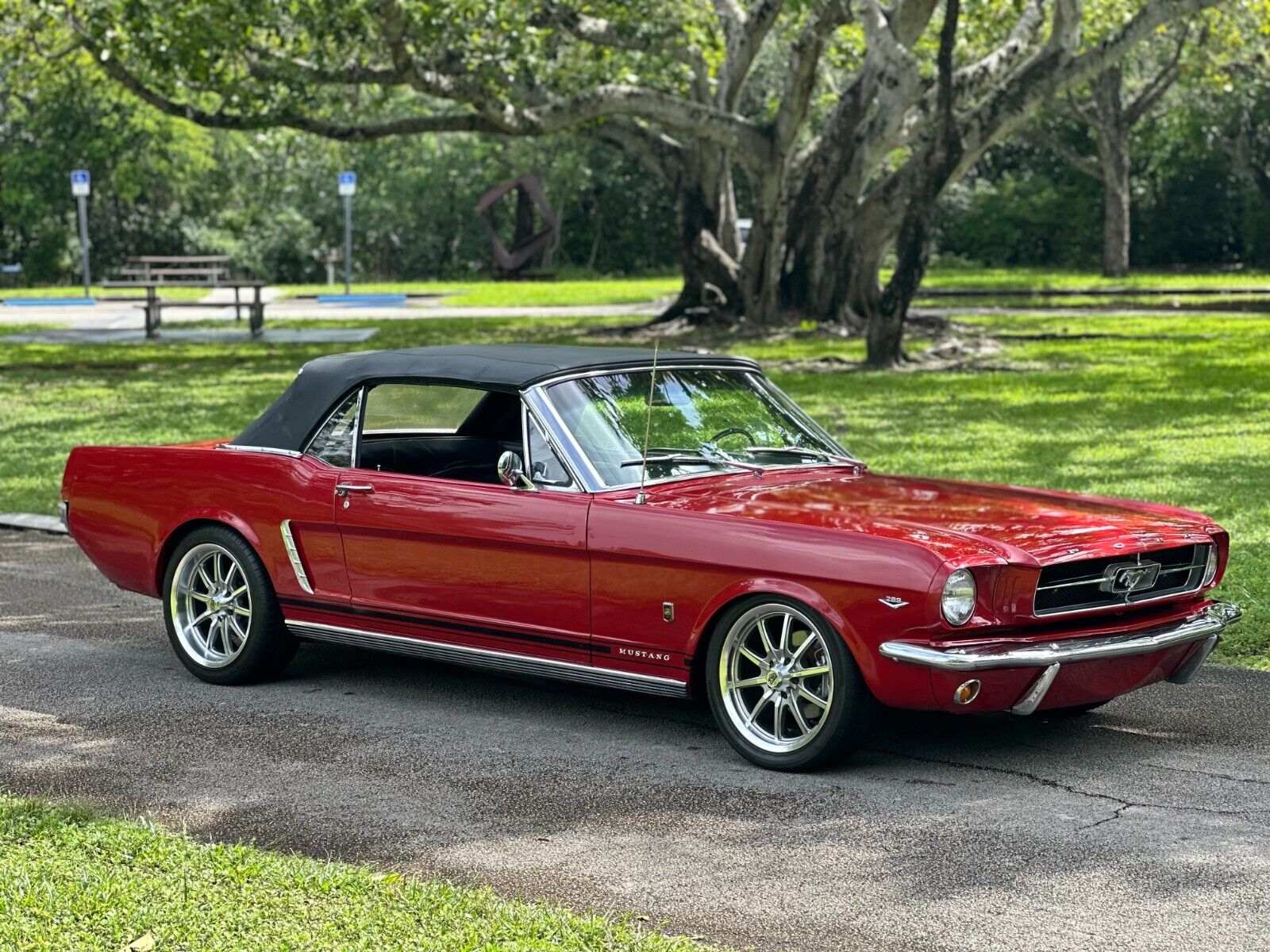 Ford-Mustang-Cabriolet-1965-6