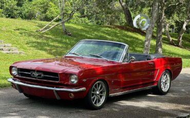 Ford-Mustang-Cabriolet-1965-8