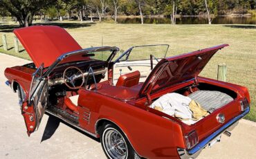 Ford-Mustang-Cabriolet-1966-14