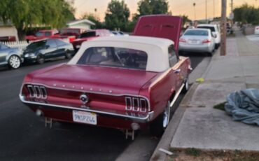 Ford-Mustang-Cabriolet-1967-19