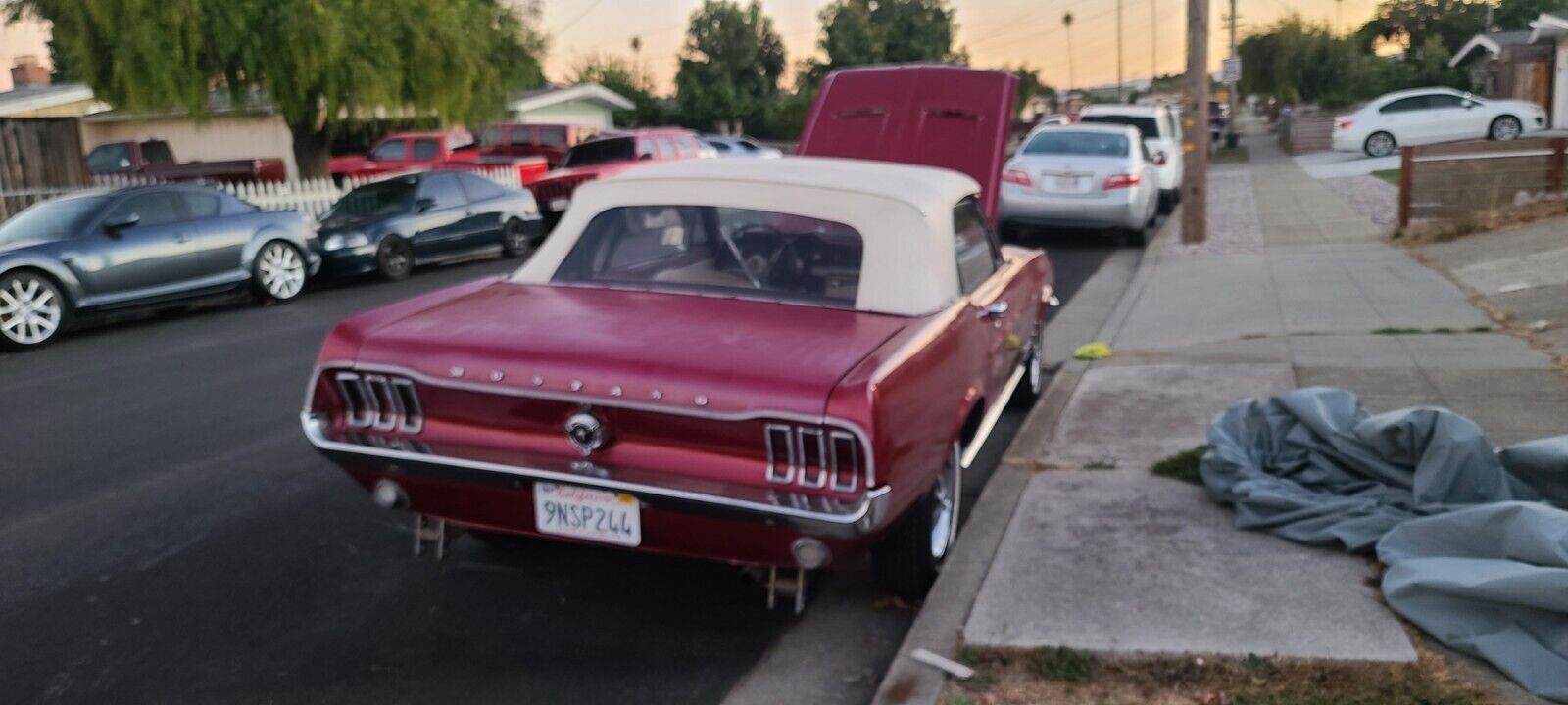 Ford-Mustang-Cabriolet-1967-19