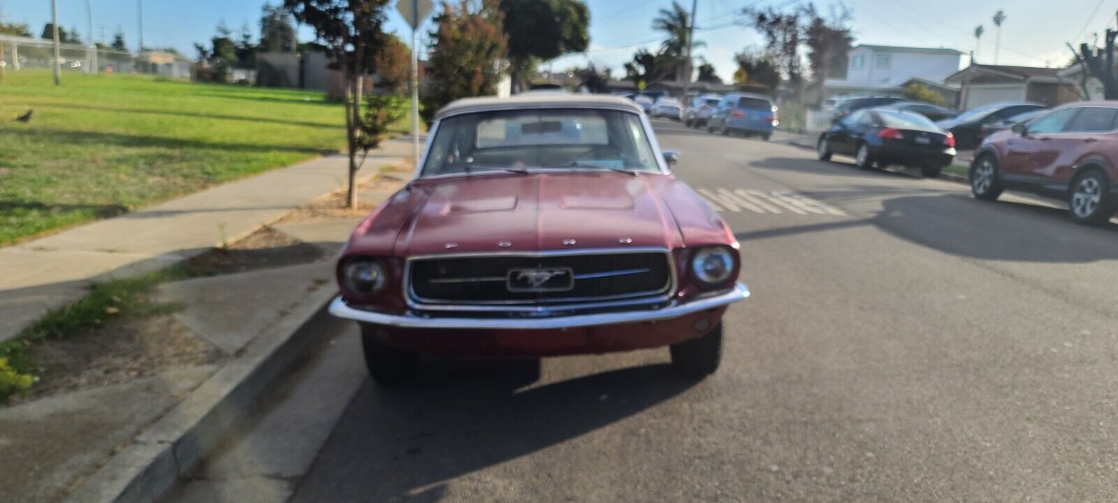 Ford-Mustang-Cabriolet-1967-2