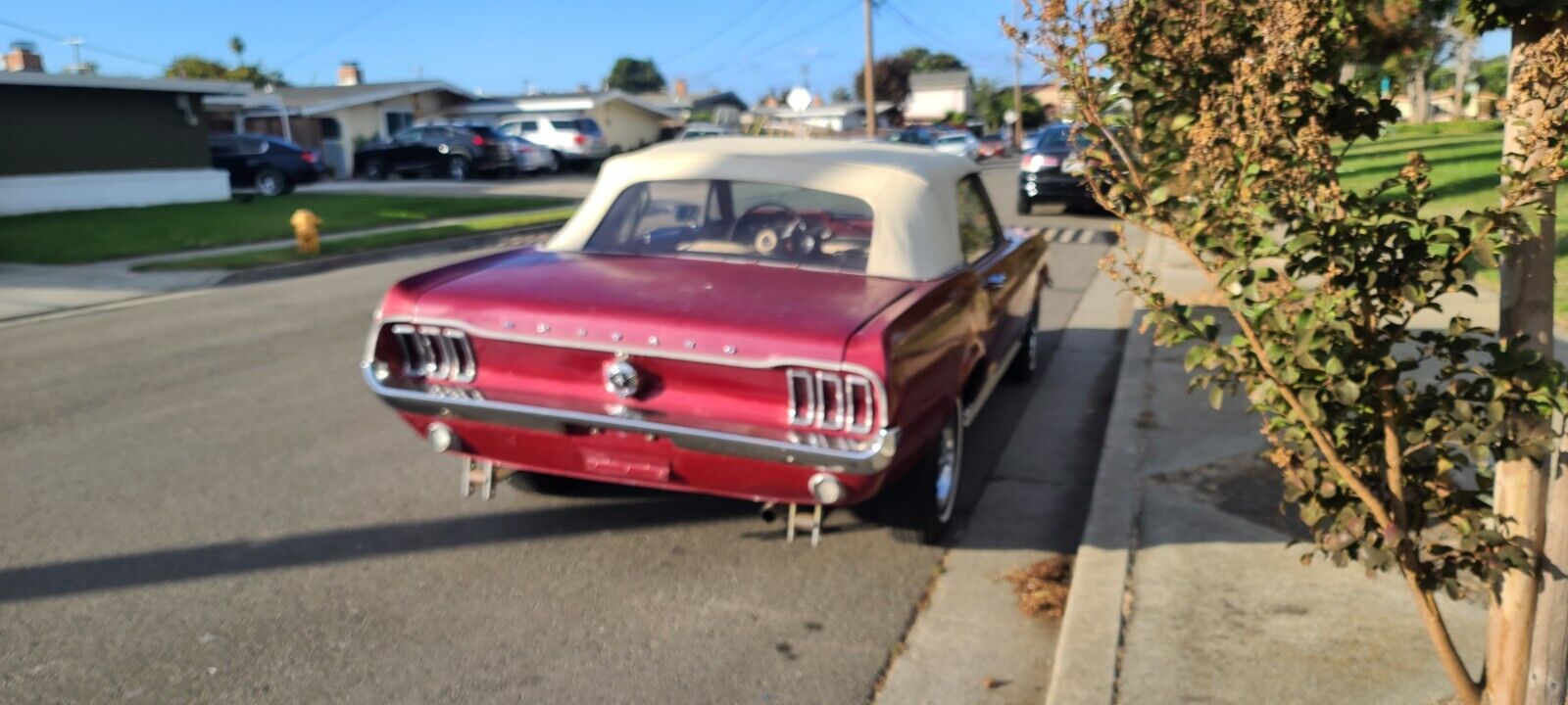 Ford-Mustang-Cabriolet-1967-7