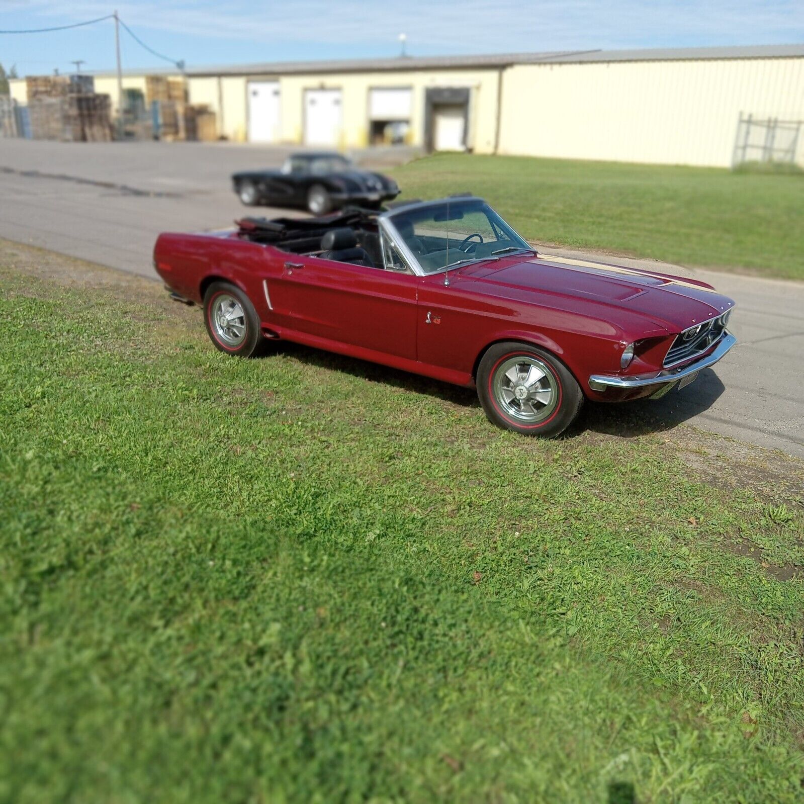 Ford-Mustang-Cabriolet-1968-1