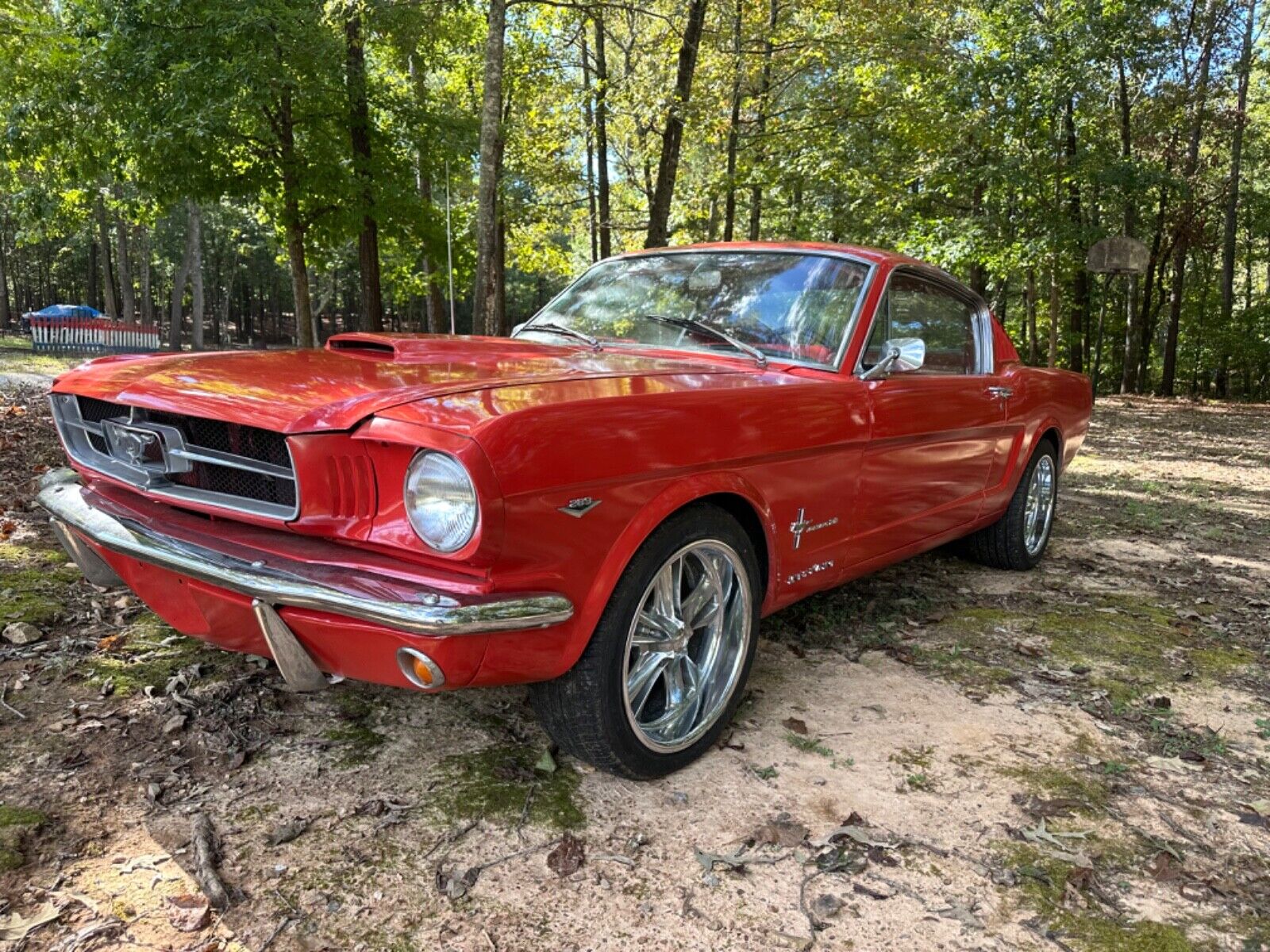 Ford-Mustang-Coupe-1965-1