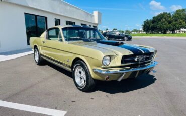 Ford-Mustang-Coupe-1965-1