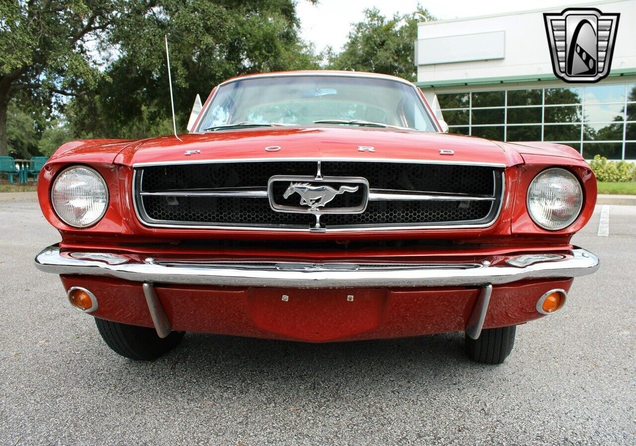 Ford-Mustang-Coupe-1965-10