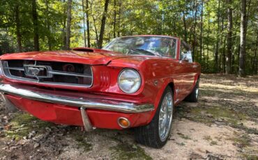 Ford-Mustang-Coupe-1965-2