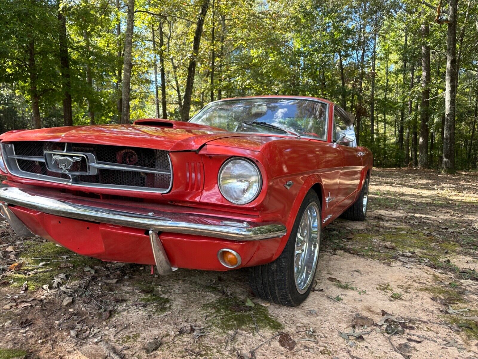 Ford-Mustang-Coupe-1965-2