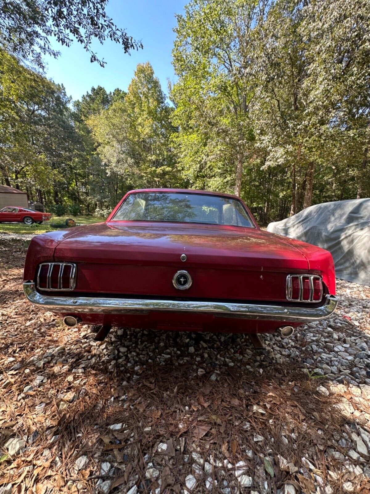 Ford-Mustang-Coupe-1965-3