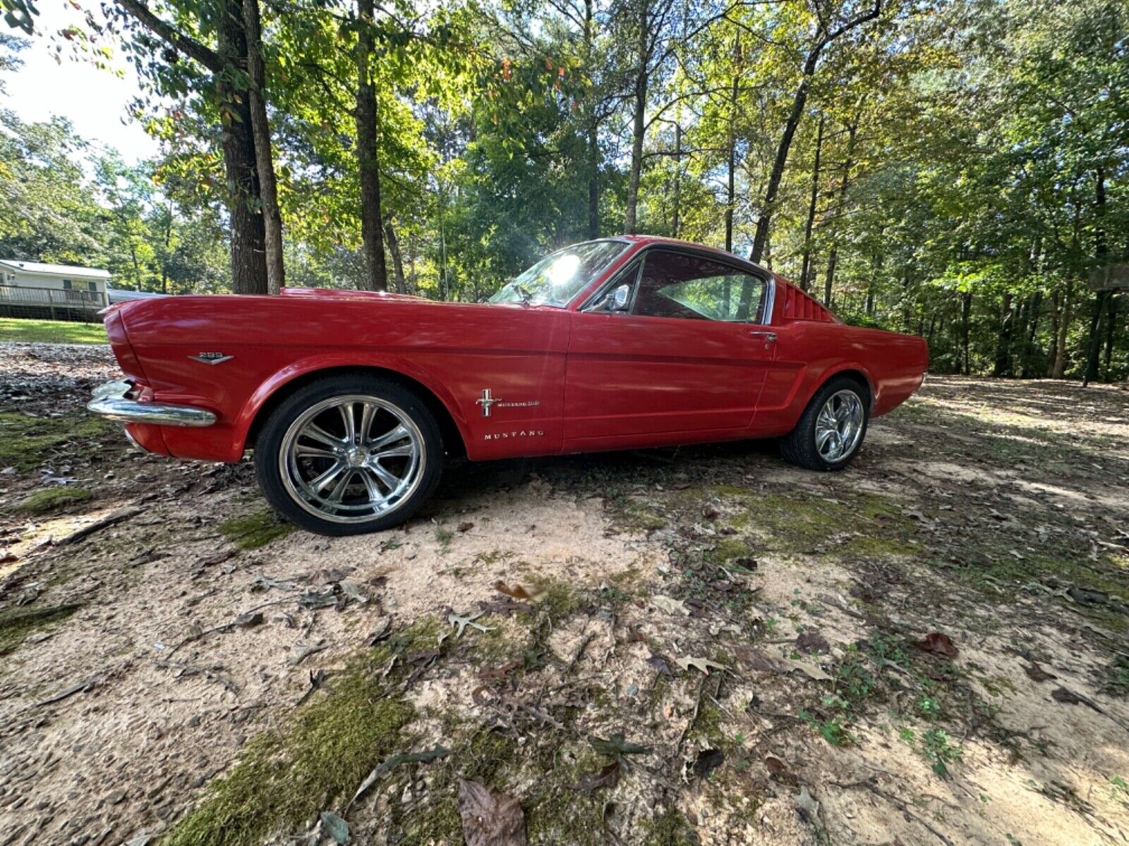 Ford-Mustang-Coupe-1965-3