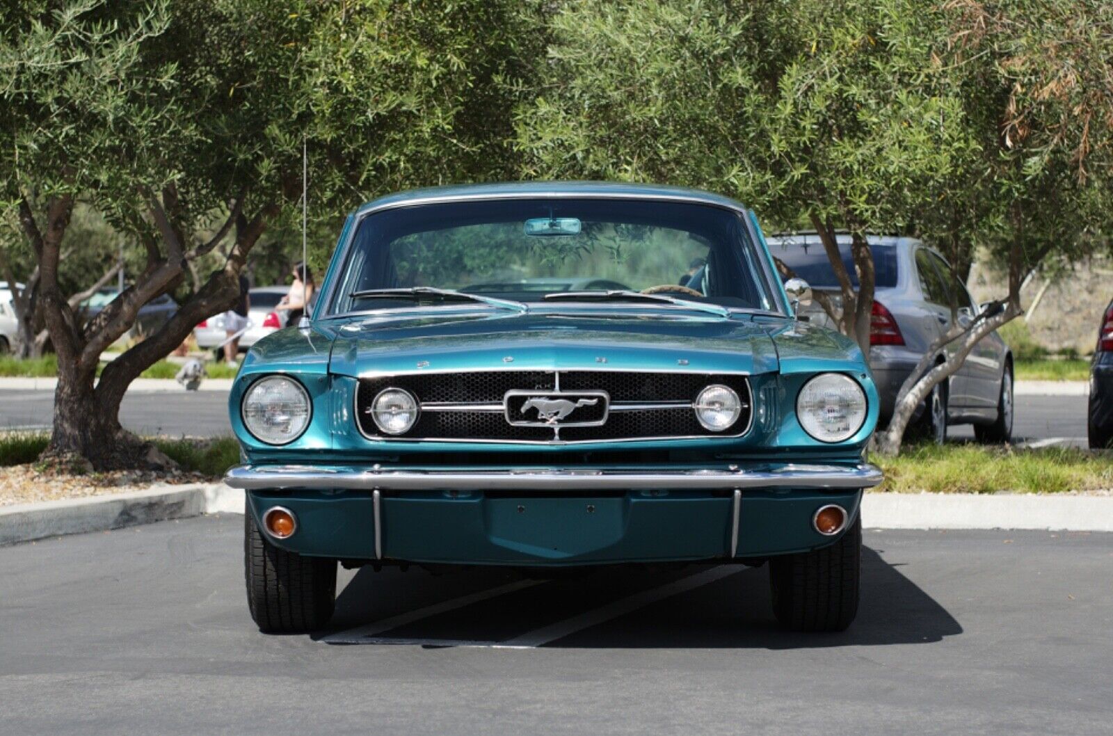 Ford-Mustang-Coupe-1965-4