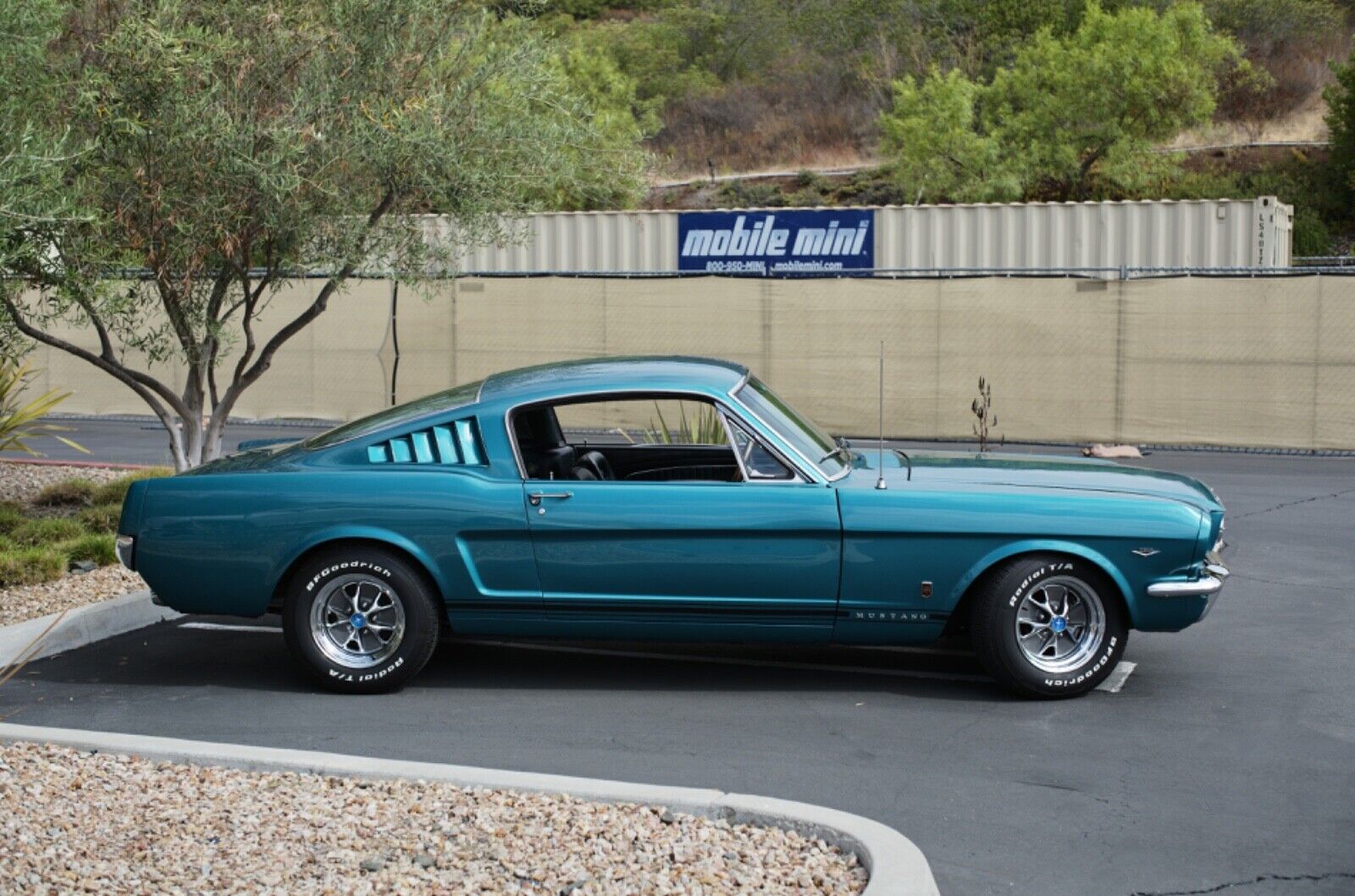 Ford-Mustang-Coupe-1965-5