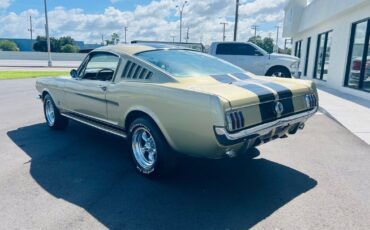 Ford-Mustang-Coupe-1965-6