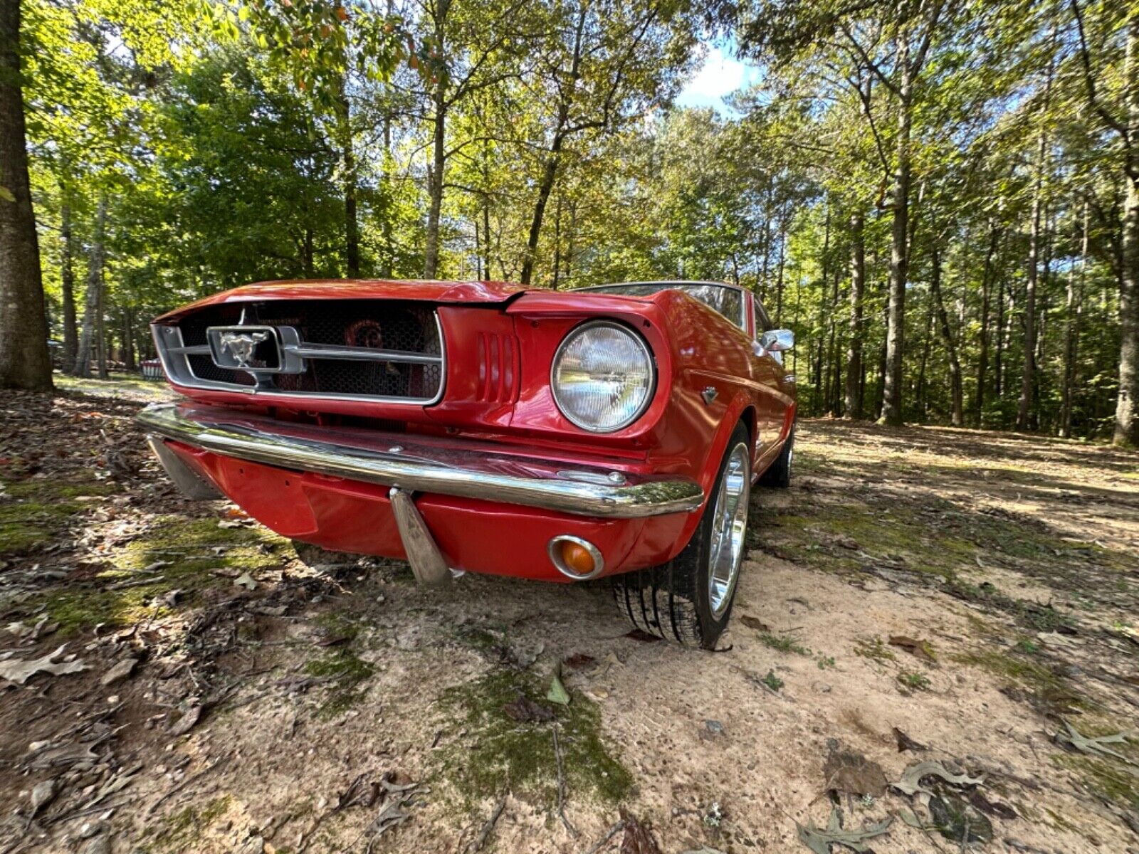 Ford-Mustang-Coupe-1965-8