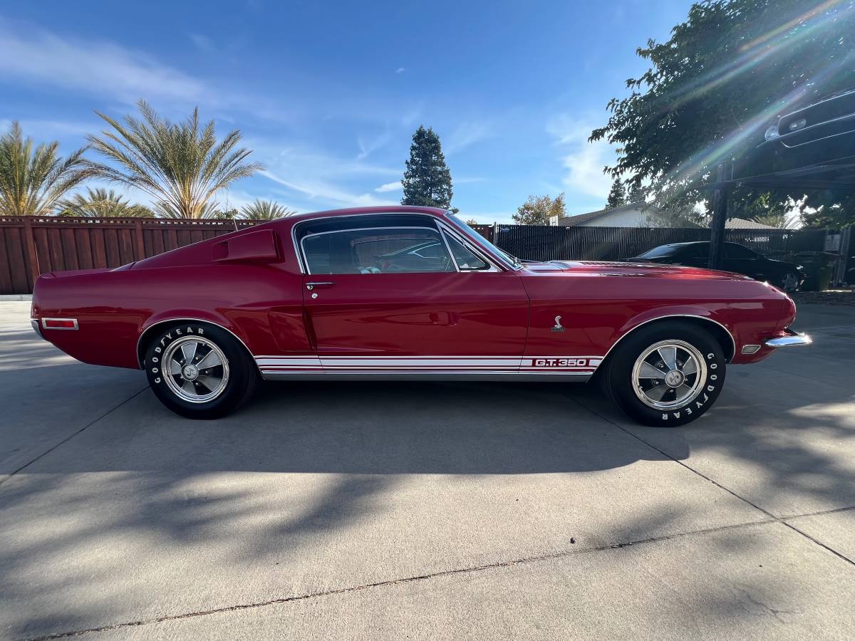 Ford-Shelby-gt350-h-1968-1