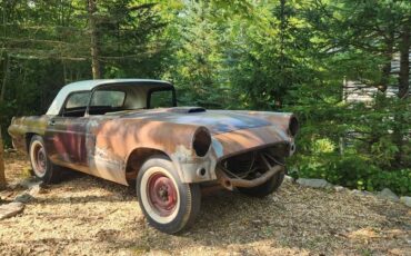 Ford-Thunderbird-1955-1